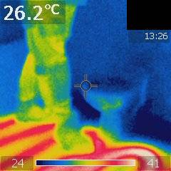 Thermal camera image showing the underfloor heating loops in red, with somebody walking over the floor
